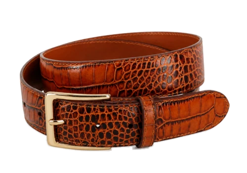 Brown belt with a repeating reptile-effect embossed surface and gold-tone buckle