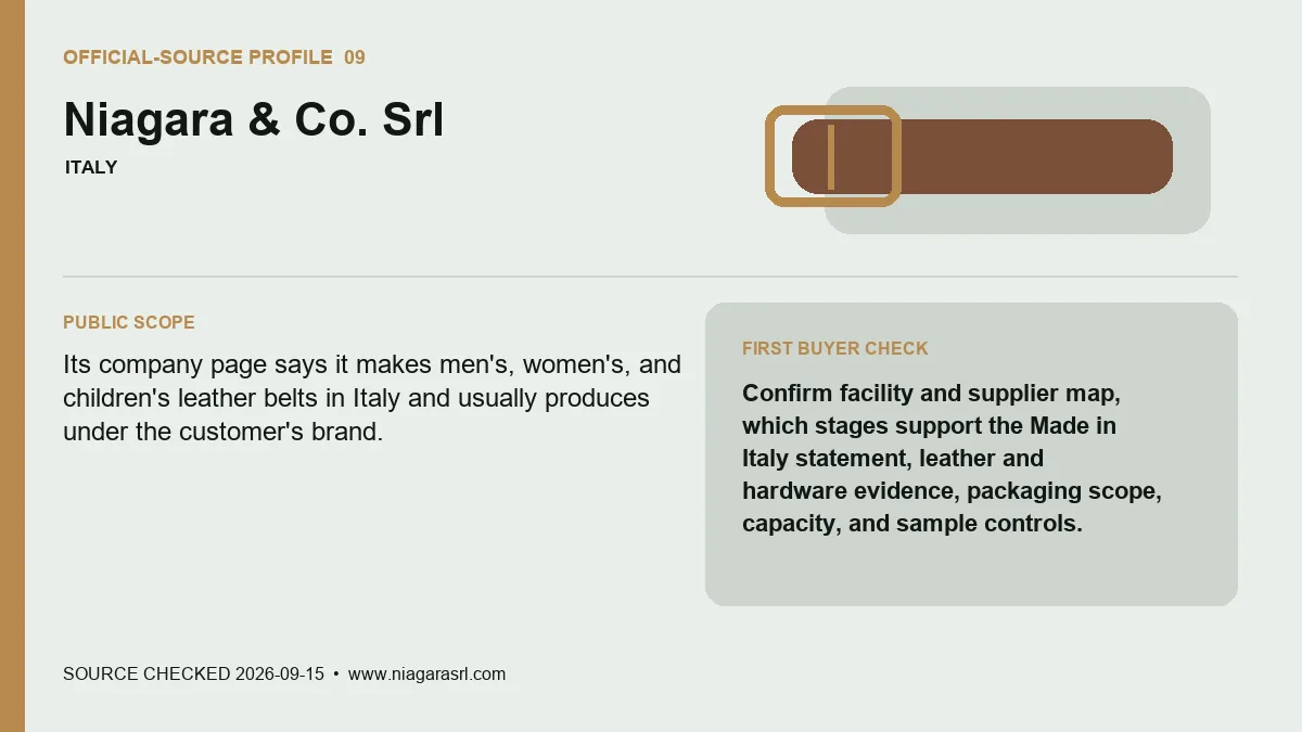 Official-source profile for Niagara & Co. Srl with public belt scope and buyer verification check