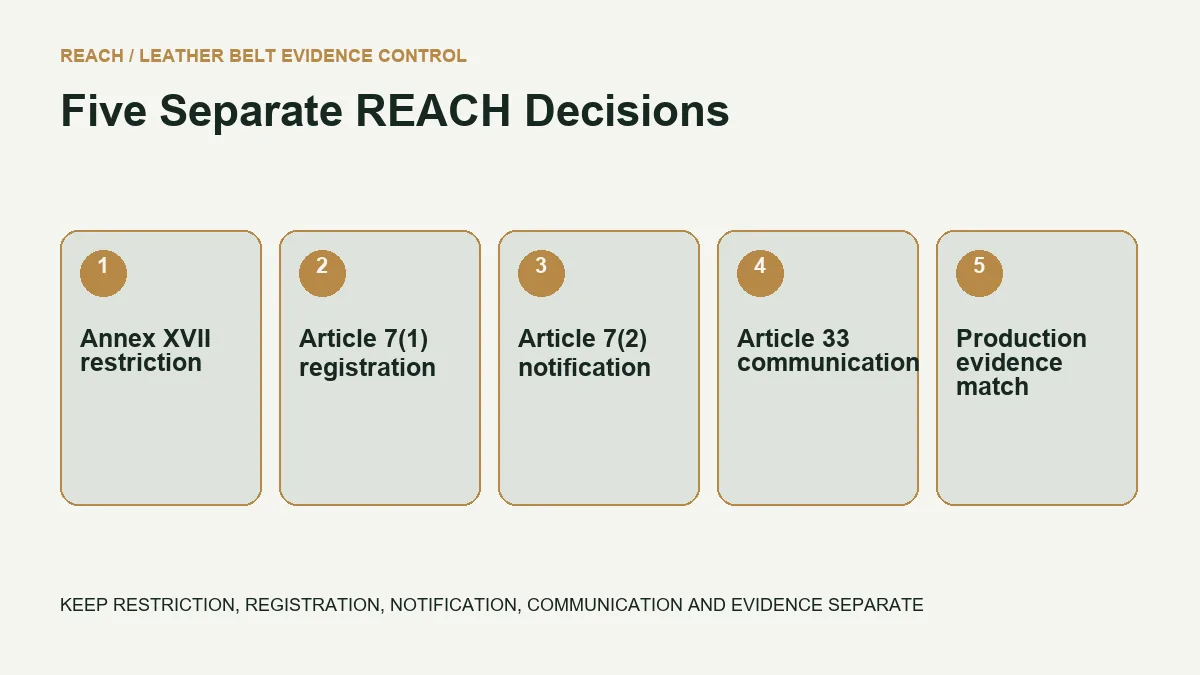 five separate REACH decisions for a leather belt importer and evidence team